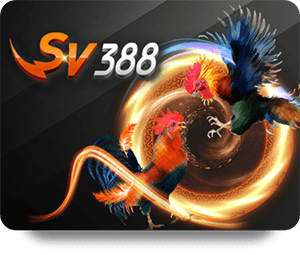 Trải Nghiệm Cá Cược Trực Tuyến Tại 12BET Chính Thức 247
